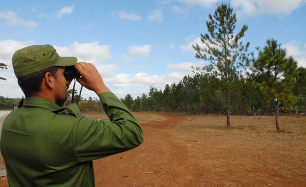 Llaman a incrementar percepción de riesgo contra incendios forestales en Cuba