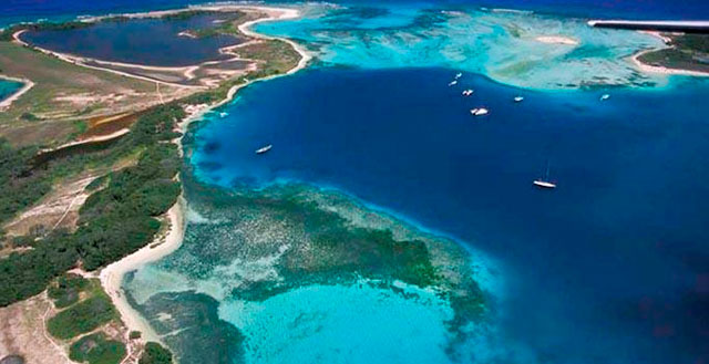 Publican artículo sobre muestreo en aguas del Caribe