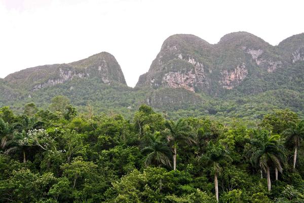 0802-vinales4.jpg