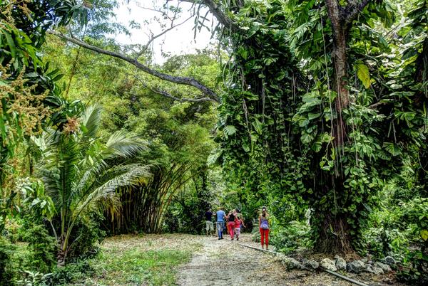 jardin-botanico-holguin.jpg