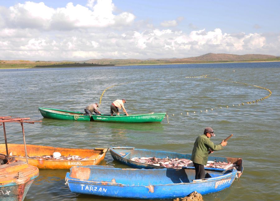 1102-pescadores.jpg