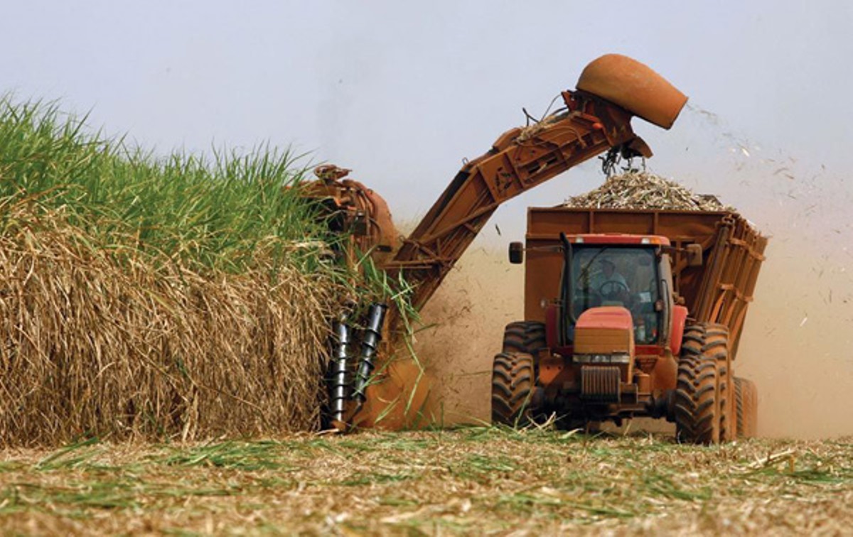 Half of Cuba´s sugar mills to start harvest in December