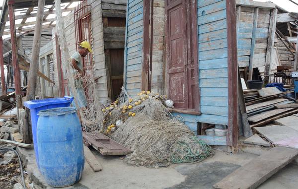 Los campos de Villa Clara lucen diferentes por estos días, en que a las labores de recogida y acopio de los cultivos dañados por el cruce del huracán Irma se adicionan tareas de reconstrucción y recuperación de inmuebles. Foto ACN/Arelys María Echevarría Rodríguez