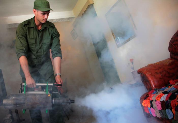 fumigacion.jpg