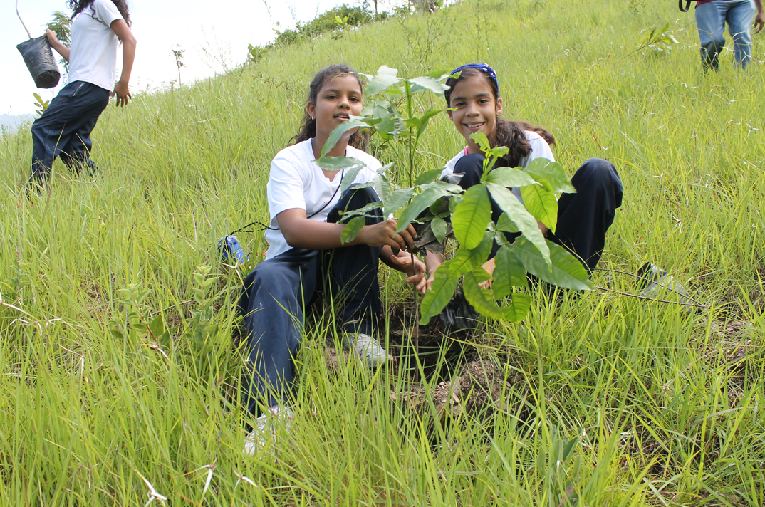 jovenes-reforestacion.jpg