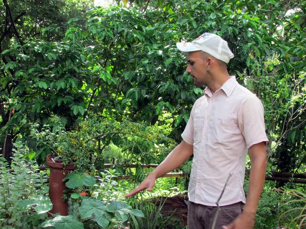 Jansel García Ruiz, promotor cultural del grupo de Teatro de los Elementos, en la comunidad El Jobero del municipio de Cumanayagua, muestra algunas plantas medicinales con la técnica agrícola de la permacultura,en Cienfuegos, el 14 de septiembre de 2017 ACN FOTO/ YULIET SÁEZ