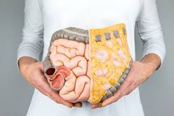 0119-coloproctologia.jpg
