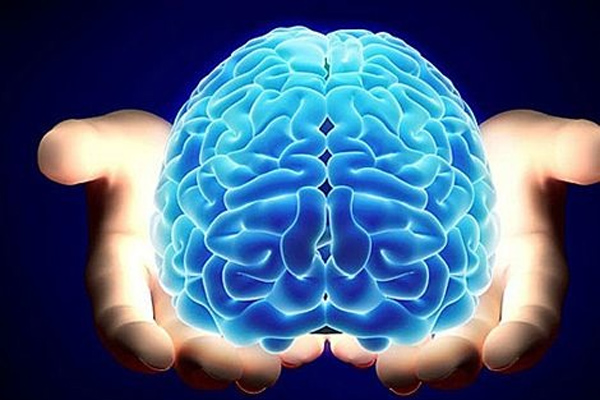 El Instituto de Neurología y Neurocirugía (INN) Profesor Doctor Rafael Estrada González arribó hoy a su aniversario 56 de fundado, con notables logros que prestigian al sistema nacional de salud. El Instituto de Neurología y Neurocirugía (INN) Profesor Doctor Rafael Estrada González arribó hoy a su aniversario 56 de fundado, con notables logros que prestigian al sistema nacional de salud.