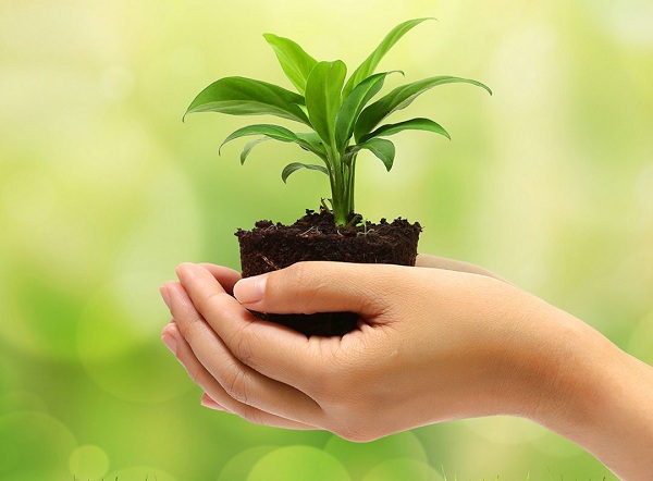 0601-medio-ambiente.jpg