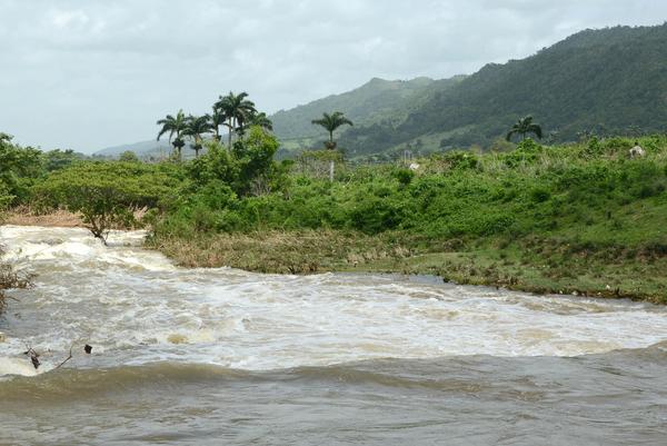 Paisajes del municipio de Florencia, reverdecido por las lluvias, en la provincia Ciego de Ávila, Cuba, 4 de junio de 2018, vispera de la celebración del Día Mundial del Medio Ambiente. Paisajes del municipio de Florencia, reverdecido por las lluvias, en la provincia Ciego de Ávila, Cuba, 4 de junio de 2018, vispera de la celebración del Día Mundial del Medio Ambiente. ACN FOTO/Osvaldo GUTIÉRREZ GÓMEZ