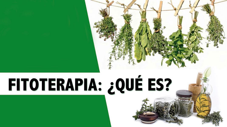 0622-fitoterapia.jpg