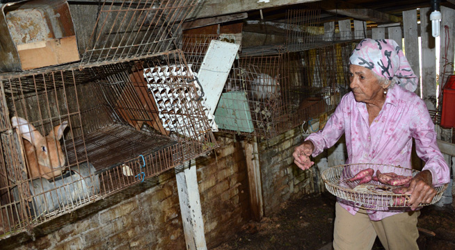 El programa de la agricultura urbana tiene con Olga un patio de excelencia.