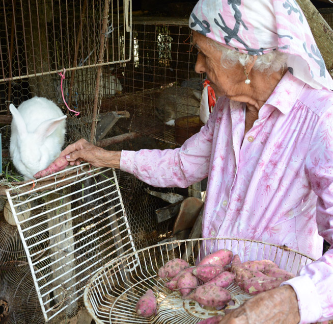 Con 25 años de experiencia Olga sabe muchos secretos para el cuidado de los conejos.