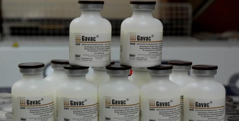 0725-gavac.jpg