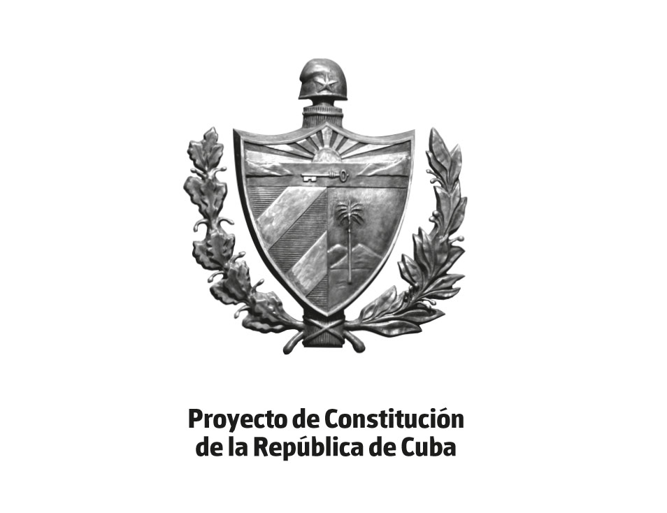 0730-proyecto-constitucion.jpg