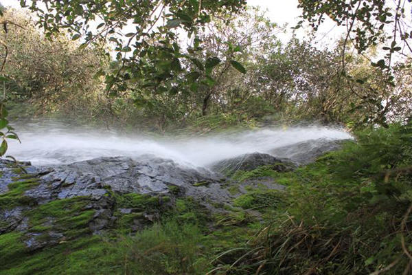 De las más de 100 mil hectáreas de la valiosa área de escurrimiento, alrededor de 37 millares están amparados dentro del Parque