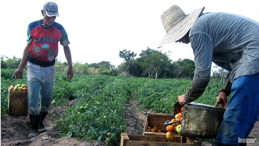 Tomateros de Ciego de Ávila Tomateros de Ciego de Ávila