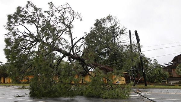 A unos 375.000 residentes en Florida se les suministró órdenes de evacuación. | Foto: Reuters A unos 375.000 residentes en Florida se les suministró órdenes de evacuación. | Foto: Reuters