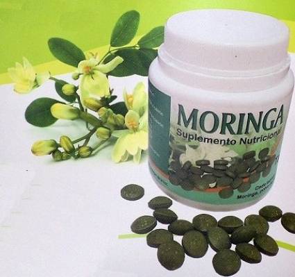 0417-moringa.jpg