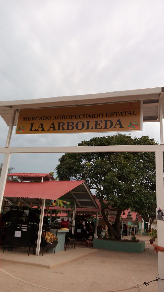0809-AcopioCamaguey_1.jpg