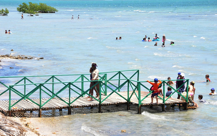 0812-campismo.jpg