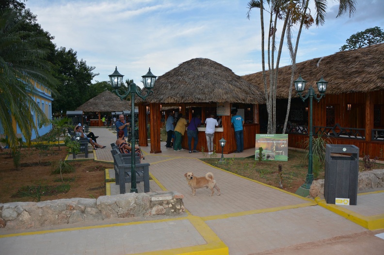 Le restaurant populaire Cuevas de Bellamar a une vigueur renouvelée