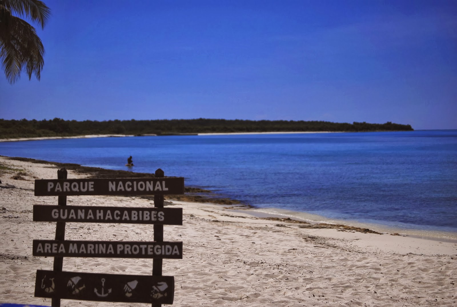 0826-Guanacavives.jpg