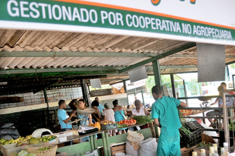 0830-Cooperativa-no-agropecuaria.jpg