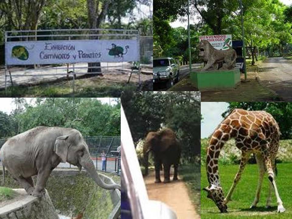 Cuban National Zoo will receive new animals