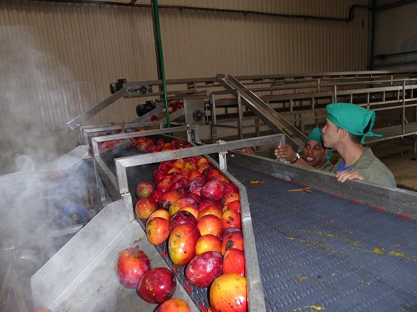 Procesamiento de Frutas Procesamiento de Frutas