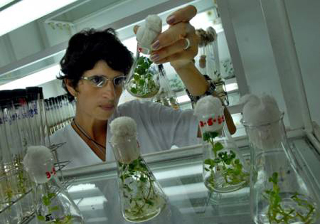 0606-agricultura.jpg