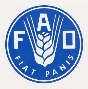 0623-FAO.jpg