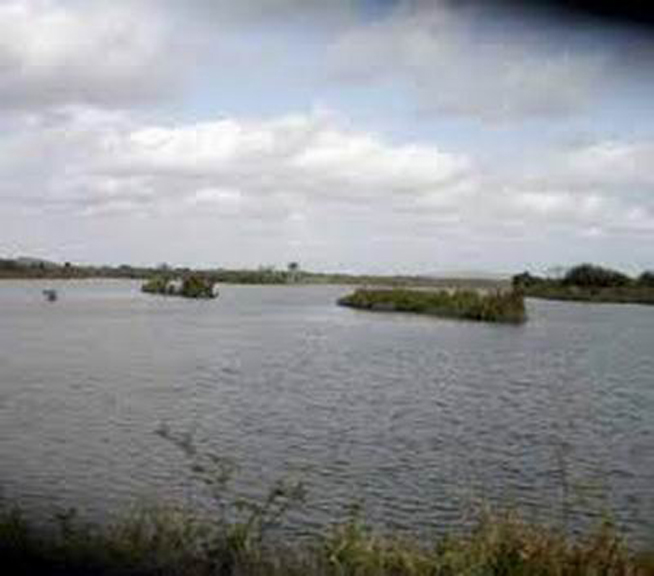 0626-jimaguayu.jpg