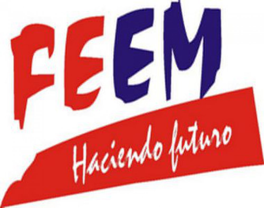 Sesiona hoy plenaria del Consejo Nacional de la FEEM