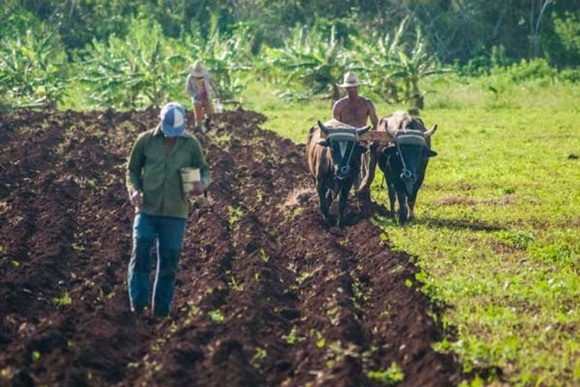 0304-cooperativa agropecuaria.jpg