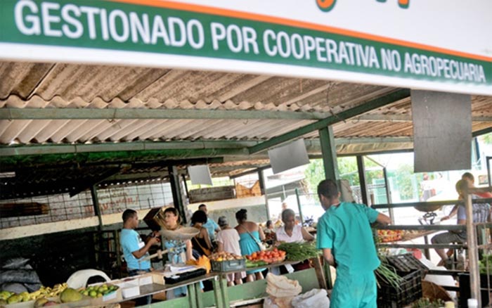 0529-cooperativa-no-agropecuaria.jpg