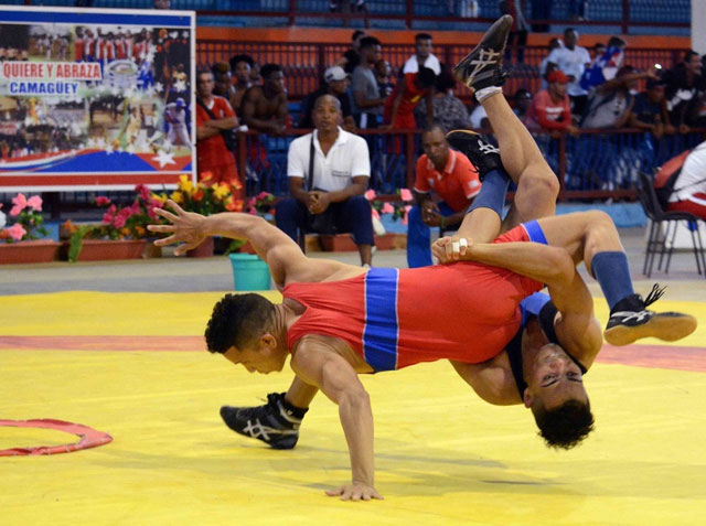 ombate en la categoría de los 55 kg. entre Liester Guzmán (rojo), de la Isla de la Juventud, y el holguinero Ismael Muriel, durante la primera jornada del Campeonato Nacional de Lucha Grecorromana, primera categoría, en el Palacio de los Deportes Rafael Fortún, en Camagüey, el 30 de mayo de 2019.ACN FOTO/Rodolfo BLANCO CUÉ 0531-greco1.jpg