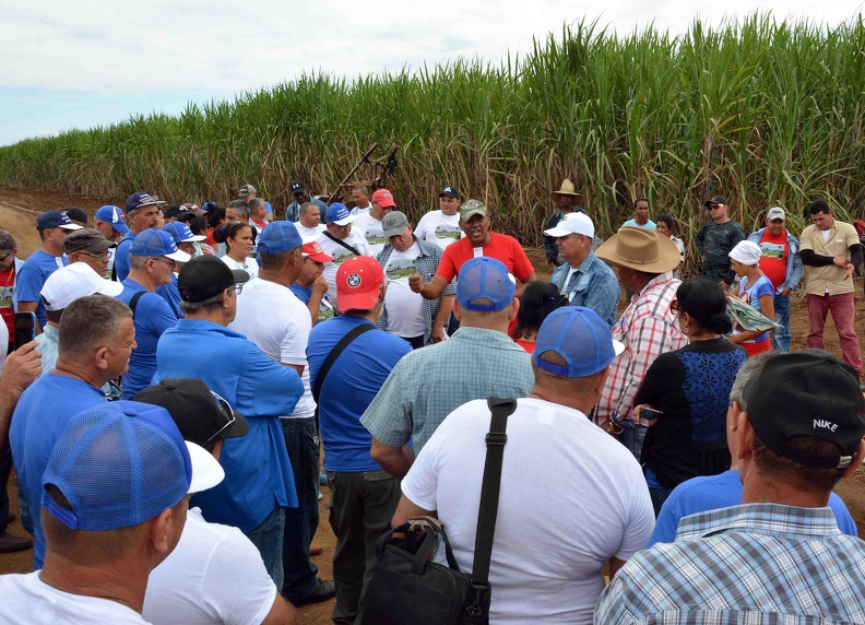Resultado de imagen para site:www.acn.cu Centro Nacional de Capacitación Azucarera