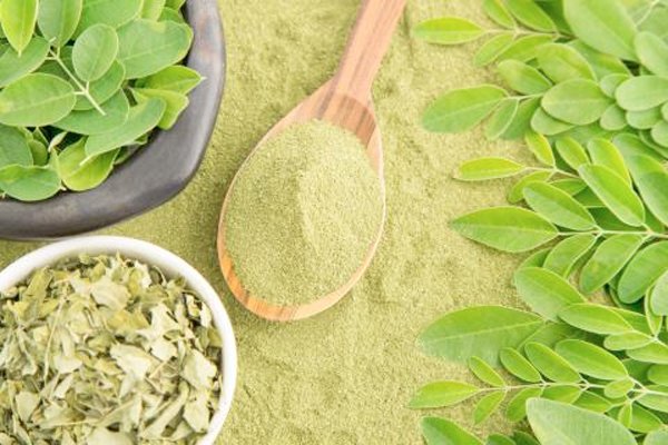 Resultado de imagen para site:www.acn.cu moringa