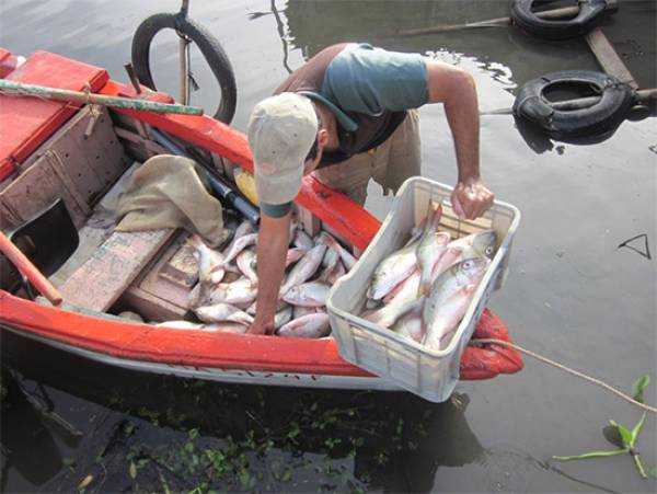 0903-pesca.jpg