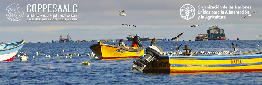 0905-pesca-artesanal.jpg