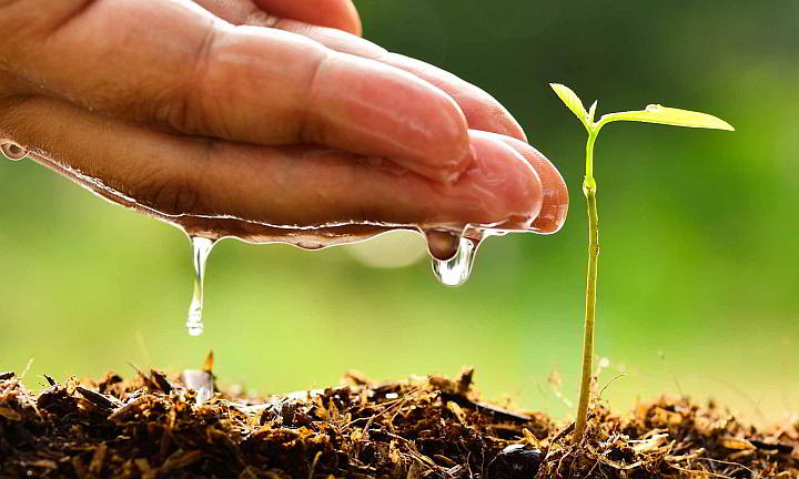 Acciones estratégicas que contrarrestan afectaciones en zonas vulnerables por el cambio climático se aplican en la provincia de Santiago de Cuba, en respuesta a los objetivos de la Tarea Vida y su consolidación en el territorio. Acciones estratégicas que contrarrestan afectaciones en zonas vulnerables por el cambio climático se aplican en la provincia de Santiago de Cuba, en respuesta a los objetivos de la Tarea Vida y su consolidación en el territorio.