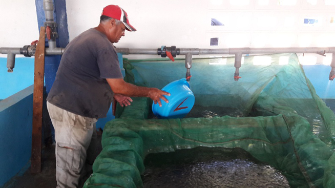 pinar-pesca pinar-pesca