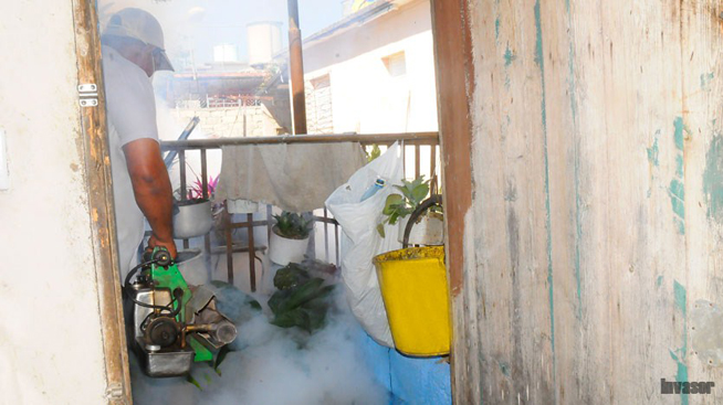 ciego-fumigacion ciego-fumigacion