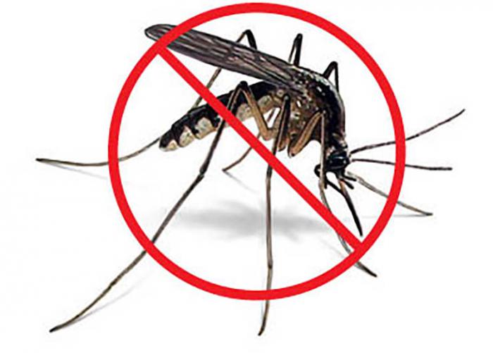 0608-arbovirosis.jpg