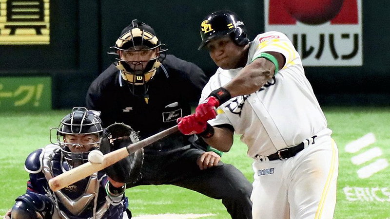 Despaigne Despaigne