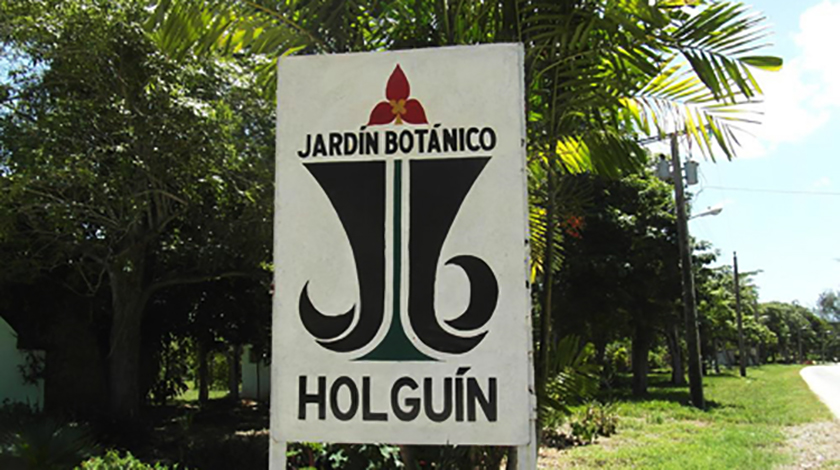 Holguin Computational Science Sector with Summer Options