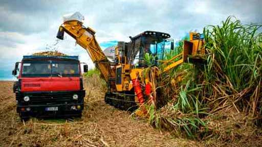Servicios técnicos industriales apuesta por una industria azucarera revitalizada