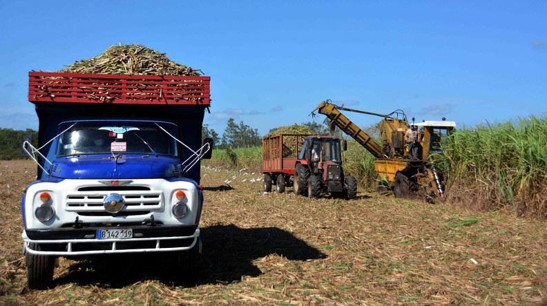 Zafra azucarera en Cuba recibe impactos negativos del bloqueo de Estados Unidos