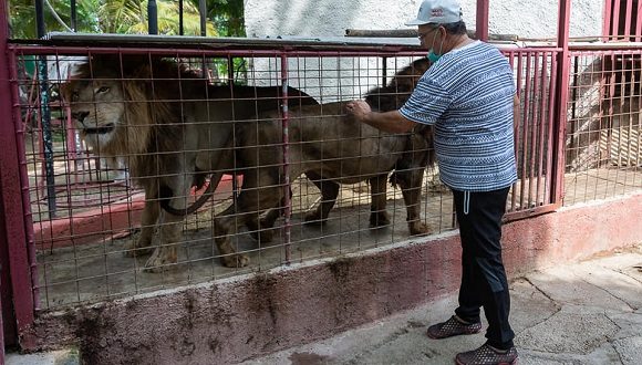 Leones